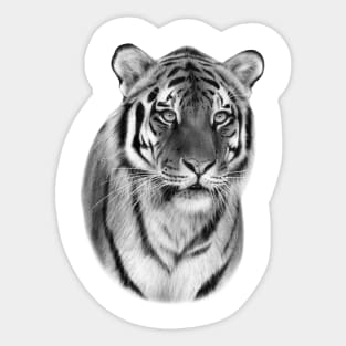 Tiger Art Sticker